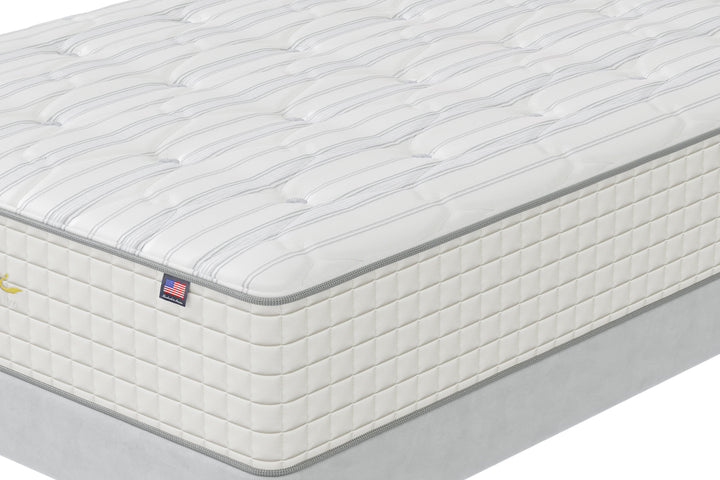 The Medallion Tight Top Firm by Eastman House